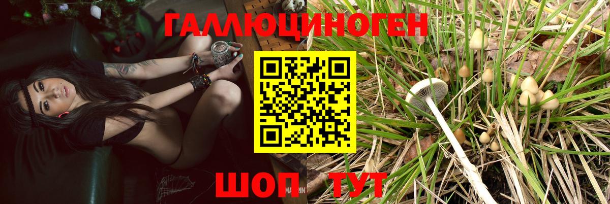 Галлюциногенные грибы MAGIC MUSHROOMS Находка