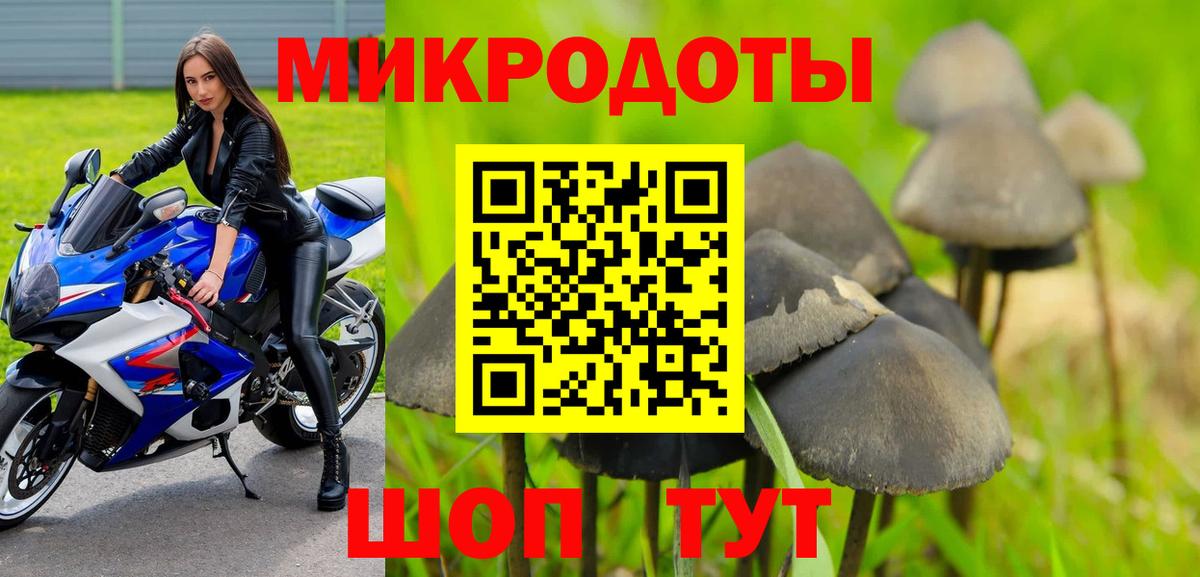 Находка  Галлюциногенные грибы Psilocybe  Вход с VPN 